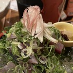 Echizen Sengyo Ten Katamachi Ten - 鰹刺身