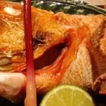 割烹　橋本 - きんき塩焼き
