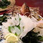 浪漫座 博多 総本店 - 