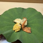 松川 - 玉蜀黍　ばちこ　床伏