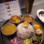 Curry Spice Gelateria KALPASI - 