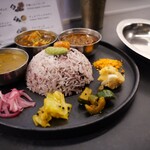 Curry Spice Gelateria KALPASI - 