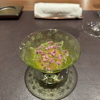 イル アオヤマ - 