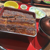 炭焼 うな富士 有楽町店 - 