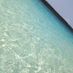 リッコジェラート - 透明度が凄かったです♪