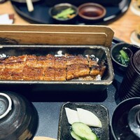 うなぎ四代目菊川 ミッドランドスクエア 名古屋本店 - 