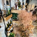 ボロネーゼ専門店 ミナミ - 