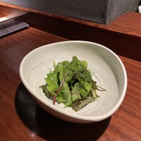 シンプル　グリーンサラダ