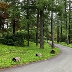 時の宿 すみれ - アプローチが素敵