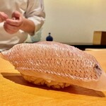 鮨 はしもと - 2024.8.  春子鯛
