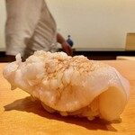 鮨 はしもと - 2024.8.  石垣貝