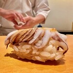 鮨 はしもと - 2024.8.  新烏賊の下足