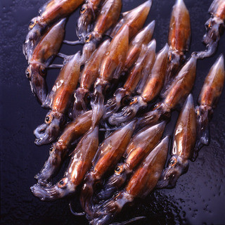 名古屋で人気の魚介 海鮮料理 すべて ランキングtop 食べログ 名古屋で人気の魚介 海鮮料理 すべて ランキングtop 食べログ