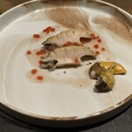 サンクチュアリコート - 