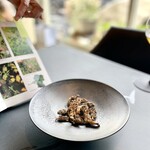 プレゼンテ スギ - モリーユ茸（アミガサタケ）