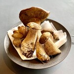 プレゼンテ スギ - 地元で獲れたヤマドリダケ