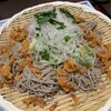 和食麺処 サガミ 知立店