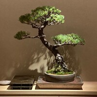 鮨白 - 