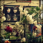 ろぷろぷ - 2014.3末　サインは本物です。