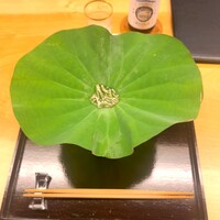 高槻 天野 - 