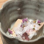 炭焼 おかげさん - 高坂鶏白肝刺し淡雪塩