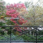 レストラン ルミエール - 