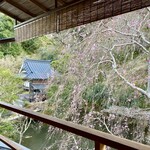 あさば - 窓景 能舞台と桜