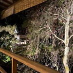 あさば - 能舞台と夜桜