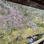 あさば - 窓景 桜と小川