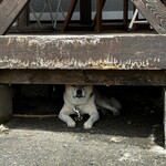 串焼き BUBU-TON - 