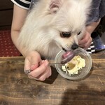 犬茶屋本舗 - 
