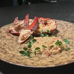 ベルソーニョ - 