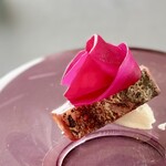 プレゼンテ スギ - 肉厚な鰹は加熱されているとは思えぬ絶妙な食感！ビーツの赤のグラデーションが映えます。八千代牛乳の水切りヨーグルト添え、フランボワーズのソース。