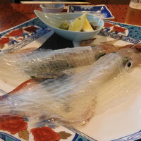 河太郎 中洲本店 - 