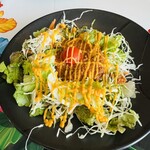 KAN's - 