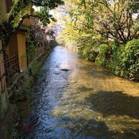 伊藤ダイニング 京都 - 