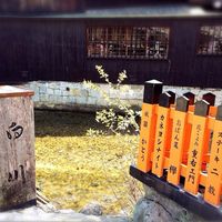伊藤ダイニング 京都 - 
