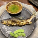 魚と野菜 食楽こつま - アユ