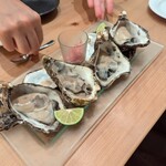 コウジイガラシ オゥレギューム - 