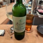 コウジイガラシ オゥレギューム - 