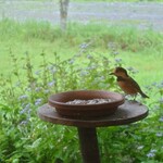 くつきそば 永昌庵 - 