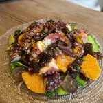 テッラ イタリアーナ - 