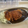 ゴーゴーカレー 保古町店
