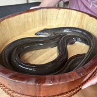銀座 四代目 高橋屋 銀座店 - 