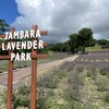 たんばらラベンダーパーク