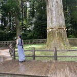 MOLINO - 近くの霧島神宮の御神木