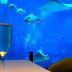 Ocean Restaurant - サメやらマンタやらに囲まれて乾杯。 マジ、水中にいるような感じ。 これは貴重な体験です。