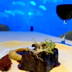 Ocean Restaurant - なので、料理の写真、2枚しかないんですよ。 脳の大半をこの海がもってっちゃうので。 見栄えはオーソドックスなブッフ・ブルギニオンですが、繊細なスパイス使いで、 エスニックに仕立てられてて素晴らしい。 ガラスの向こうのサメやマンタに目を奪われがちですが、料理はガチです。