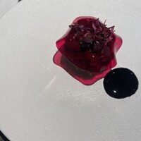 SHIROIYA the RESTAURANT - 