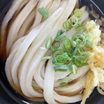 手打ちうどんますや - 